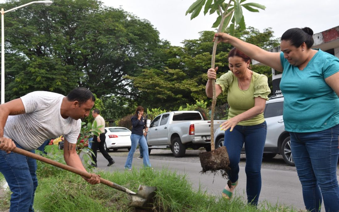 REFORESTARÁ VILLA DE ÁLVAREZ CAMELLONES CON MIL PLANTAS DE ÁRBOL