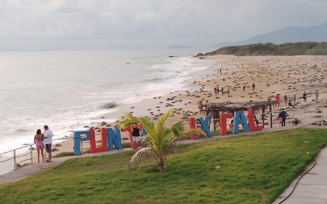 ARRIBAN A PLAYAS DE IXTAPILLA TORTUGAS GOLFINAS PARA DESOVAR