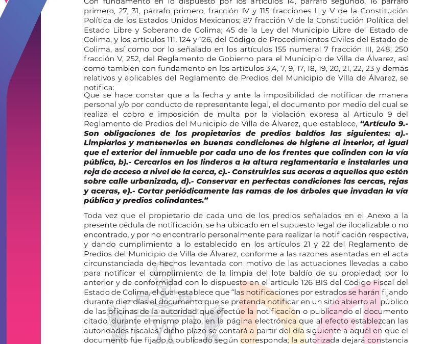 NOTIFICA H. AYUNTAMIENTO DE VILLA DE ÁLVAREZ QUE DEBE SER LIMPIADA LA MALEZA DE LOTES BALDÍOS