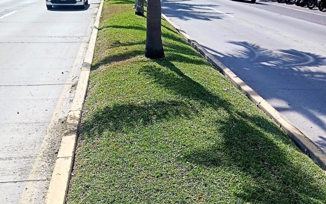Embellece Ayuntamiento de Manzanillo áreas verdes