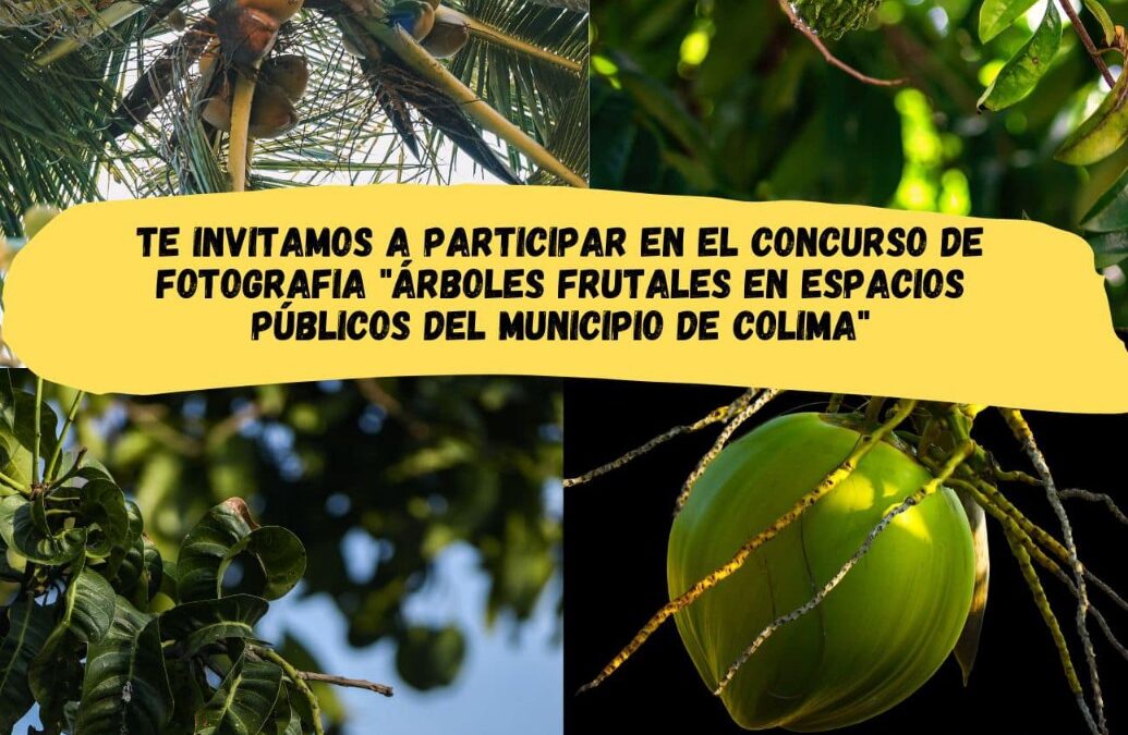INVITA AYUNTAMIENTO DE COLIMA A CONCURSO DE FOTOGRAFÍA DE ÁRBOLES FRUTALES