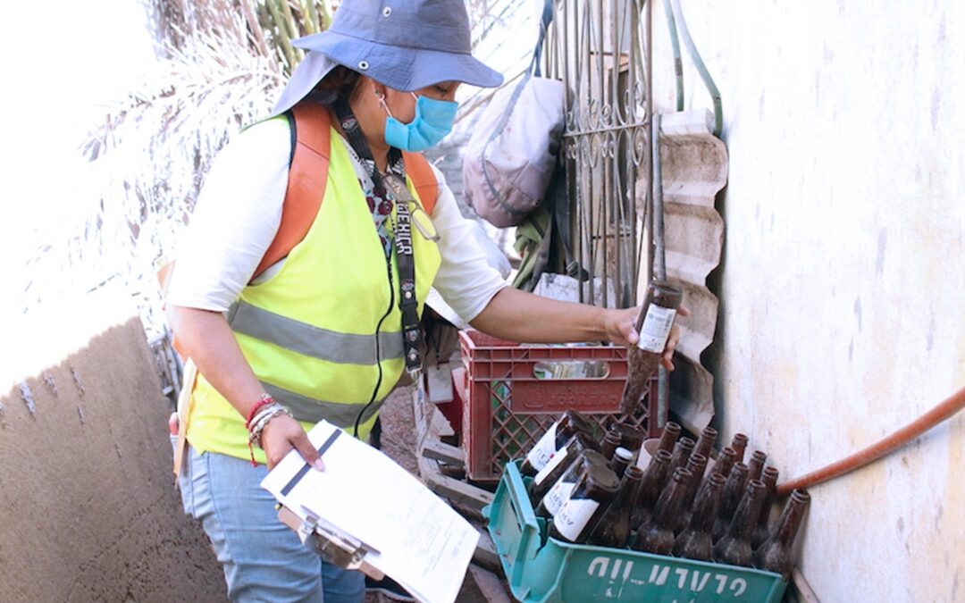 DENGUE AFECTA MÁS A MENORES DE ENTRE 10 A 14 AÑOS: SALUD