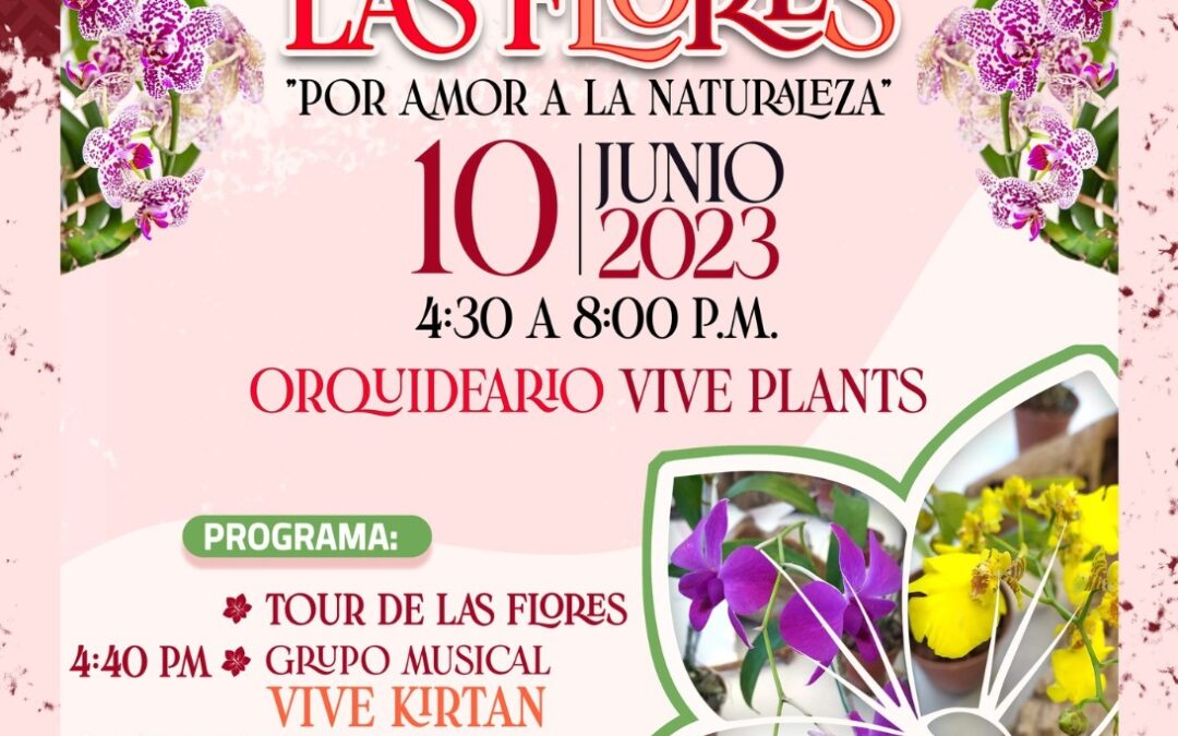 REALIZARÁN EN MANZANILLO FESTIVAL DE LAS FLORES, EN LA CENTRAL