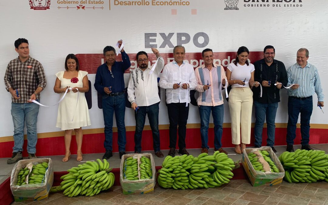 INCÚBATE MX ES UNA GRAN OPORTUNIDAD PARA LAS Y LOS EMPRENDEDORES COLIMENSES