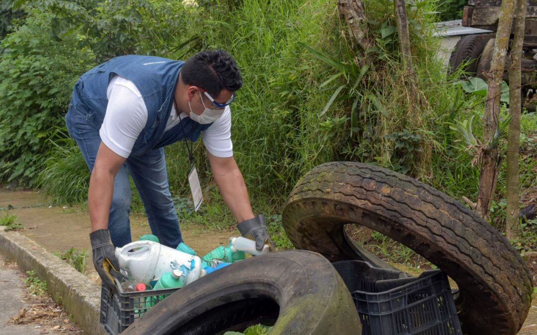 SALUD COLIMA: CON SANEAMIENTO BÁSICO SE PUEDE DETENER EL DENGUE