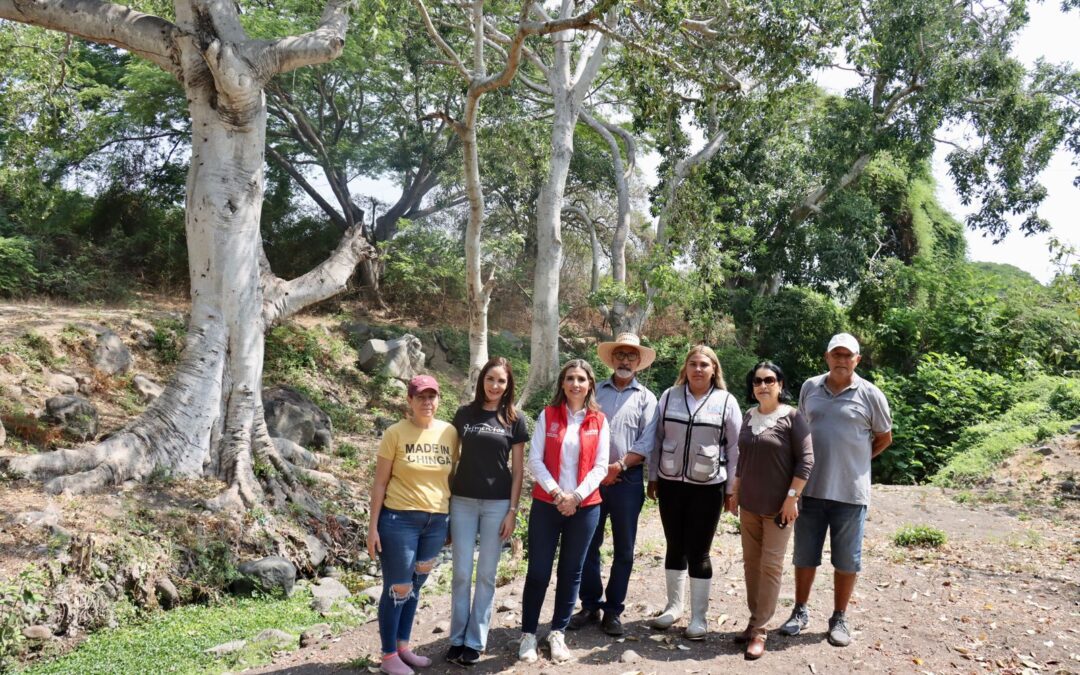 SUMAN 15 ECOBRIGADAS IMPULSADAS POR LA PRESIDENTA MUNICIPAL MARGARITA MORENO