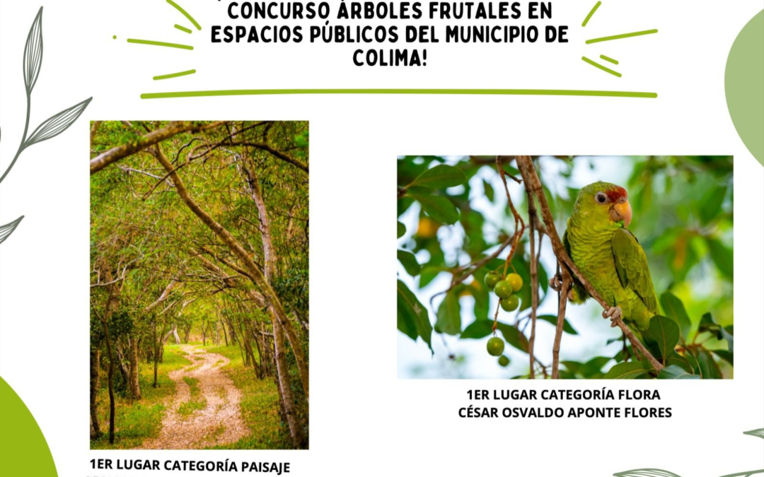 ELIGEN A GANADORES DEL CONCURSO DE FOTOGRAFÍA DE ÁRBOLES FRUTALES EN ESPACIOS PÚBLICOS DE COLIMA