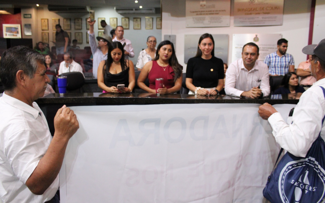 PRIISTA GARCÍA NEGRETE LUCRA  CON TAXISTAS DE TECOMÁN, AL ENGAÑARLOS, EXPONE ARMANDO REYNA