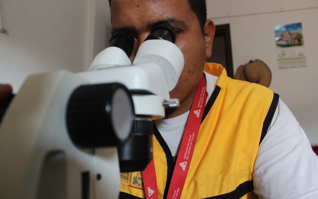 IDENTIFICA SALUD VECTOR DEL PALUDISMO EN EL ESTADO