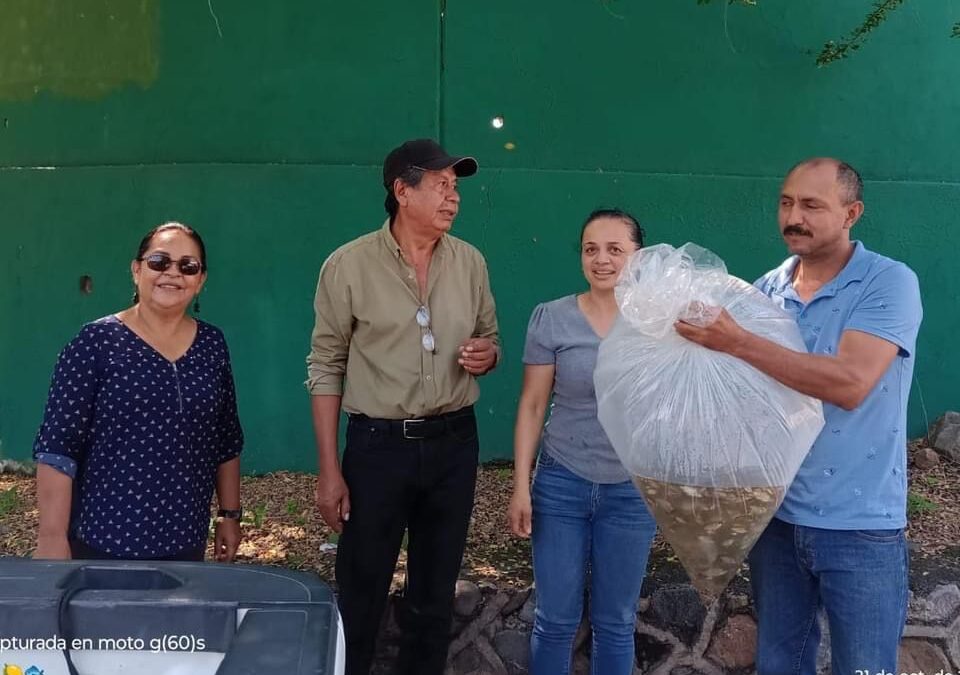 SUBSEDER SIEMBRA ALEVINES DE TILAPIA EN CUAUHTÉMOC; HABRÁ PRODUCCIÓN EN 3 A 4 MESES