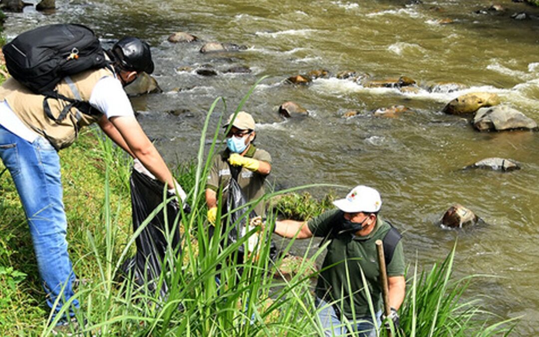 COLIMA TIENE 20 AÑOS SIN TRANSMISIÓN DE PALUDISMO