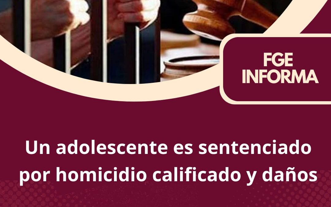 UN ADOLESCENTE ES SENTENCIADO POR HOMICIDIO CALIFICADO Y DAÑOS