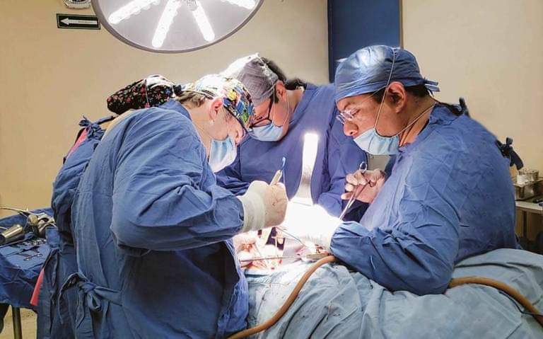 RIÑÓN, EL ÓRGANO QUE MÁS SE PUEDE TRANSPLANTAR: SALUD