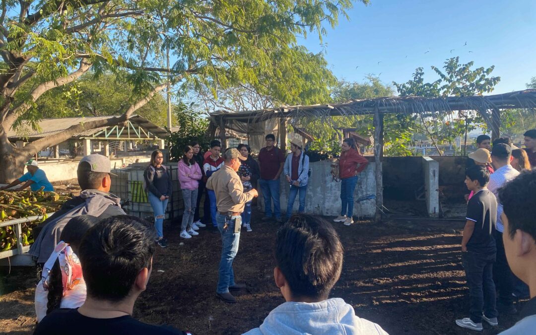 PRACTICAN NUEVAS ESTRATEGIAS DE APRENDIZAJE, EN TECOMÁN
