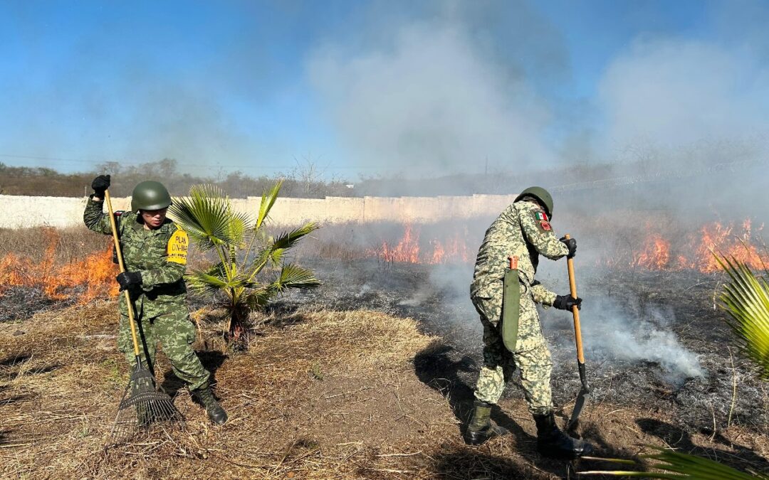 UEPC EXHORTA A LA POBLACIÓN A EVITAR ACCIONES QUE ORIGINEN INCENDIOS FORESTALES