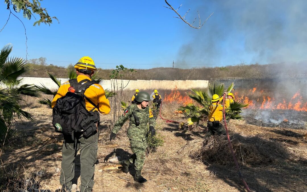 REGISTRA ENTIDAD 51 INCENDIOS FORESTALES, LLAMA PC ESTATAL A EVITAR ORIGINARLOS