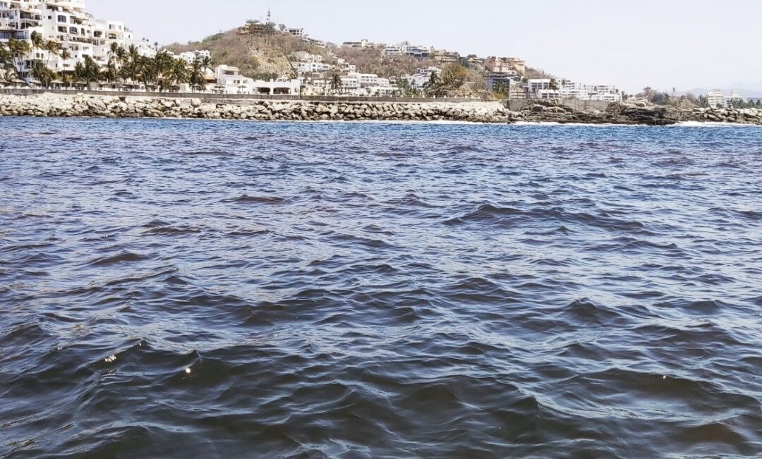 DETECTA MICROALGAS PRODUCTORAS DE TOXINAS PARALIZANTES EN BAHÍAS DE MANZANILLO