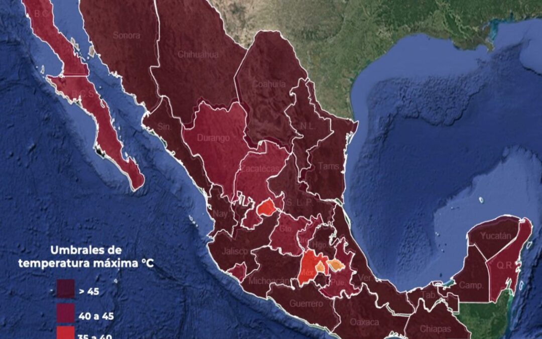 RECOMIENDA UEPC CUIDAR A PERSONAS Y MASCOTA ANTE TERCERA ONDA DE CALOR