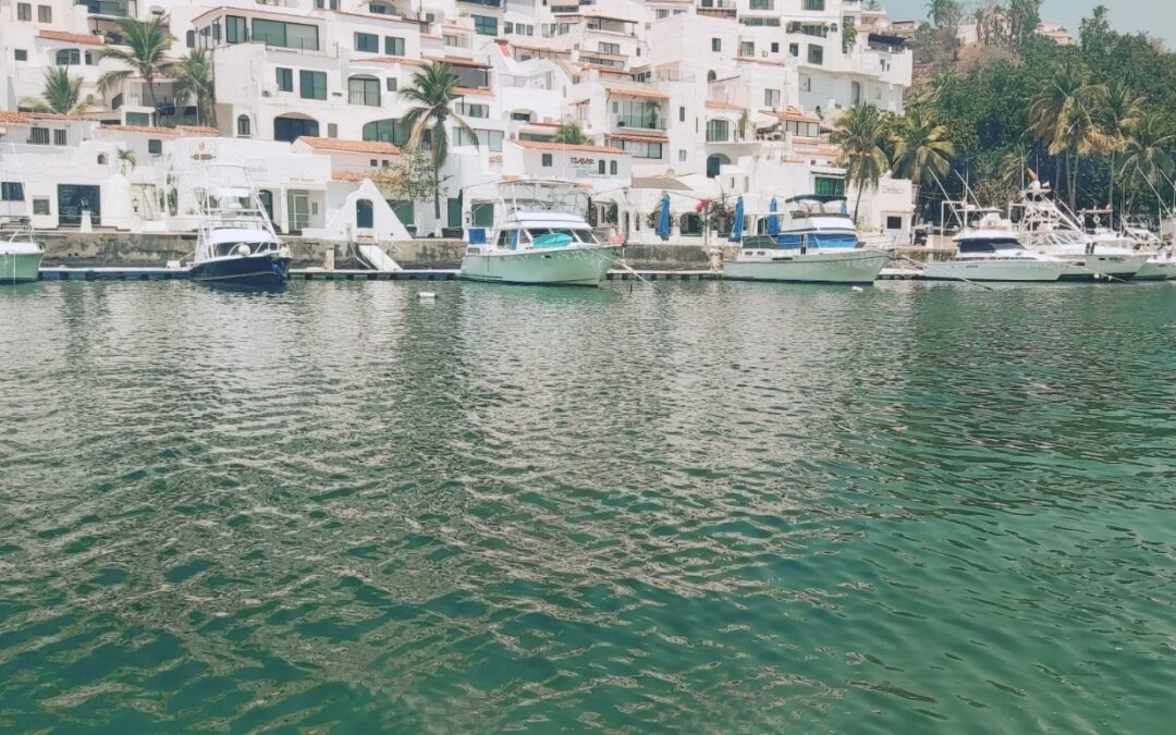 PERSISTE RIESGO SANITARIO EN COSTAS DE COLIMA, ALERTA COESPRIS