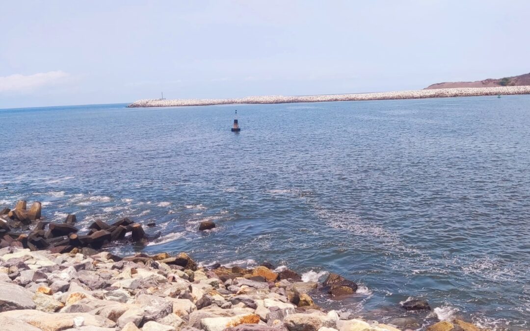 COESPRIS REPORTA MAREA ROJA NO TÓXICA EN COSTAS DE COLIMA