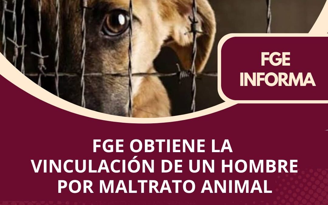 FGE OBTIENE LA VINCULACIÓN DE UN HOMBRE POR MALTRATO ANIMAL