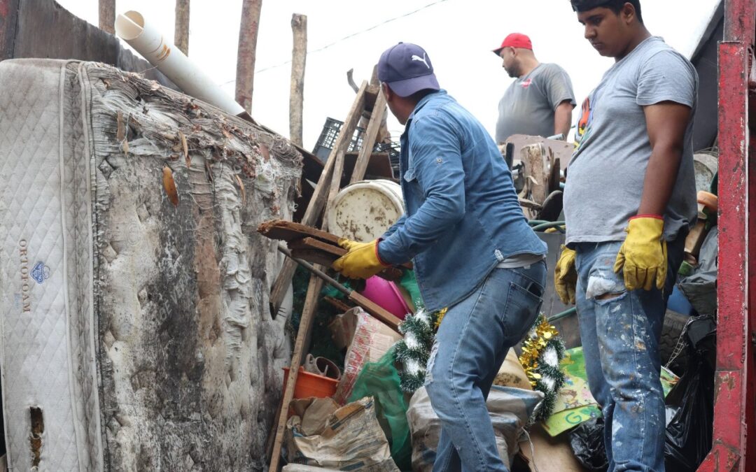CONTINÚA CONTROL LARVARIO EMERGENTE EN EL TRAPICHE, PARA REFORZAR ACCIONES