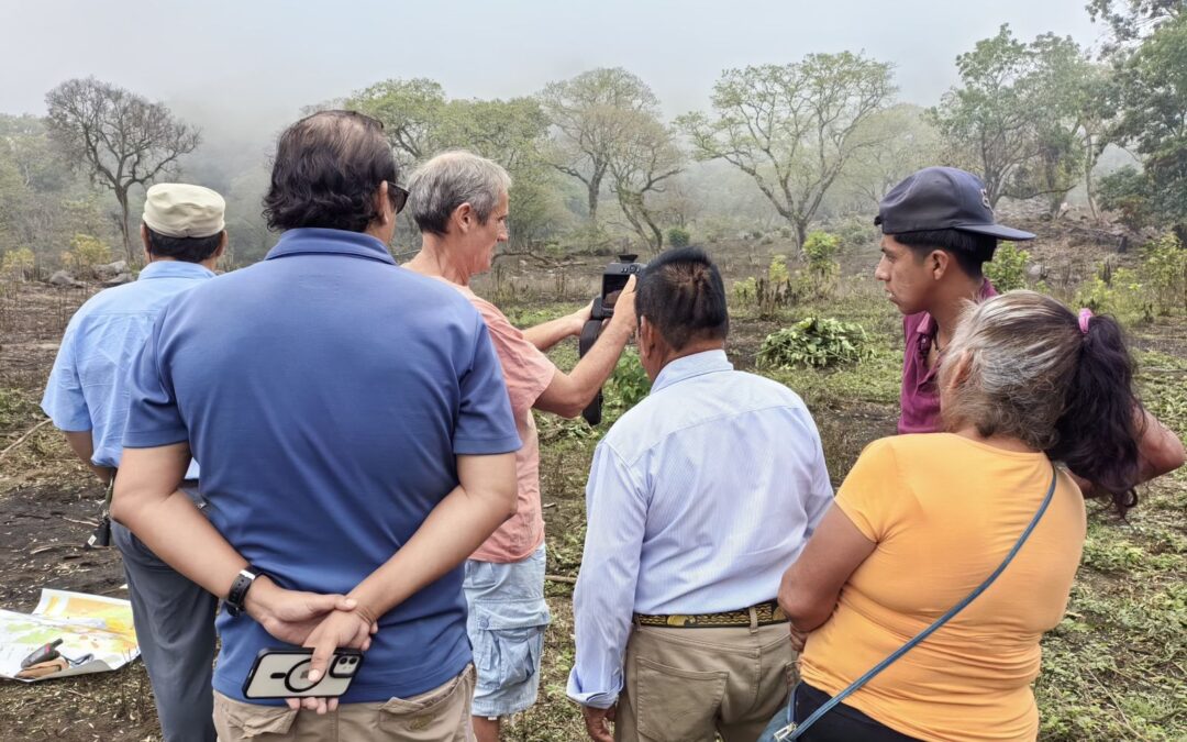CUEV Y PROTECCIÓN CIVIL DESCARTAN POSIBLES ANOMALÍAS TÉRMICAS EN PREDIO DEL NUEVO NARANJAL