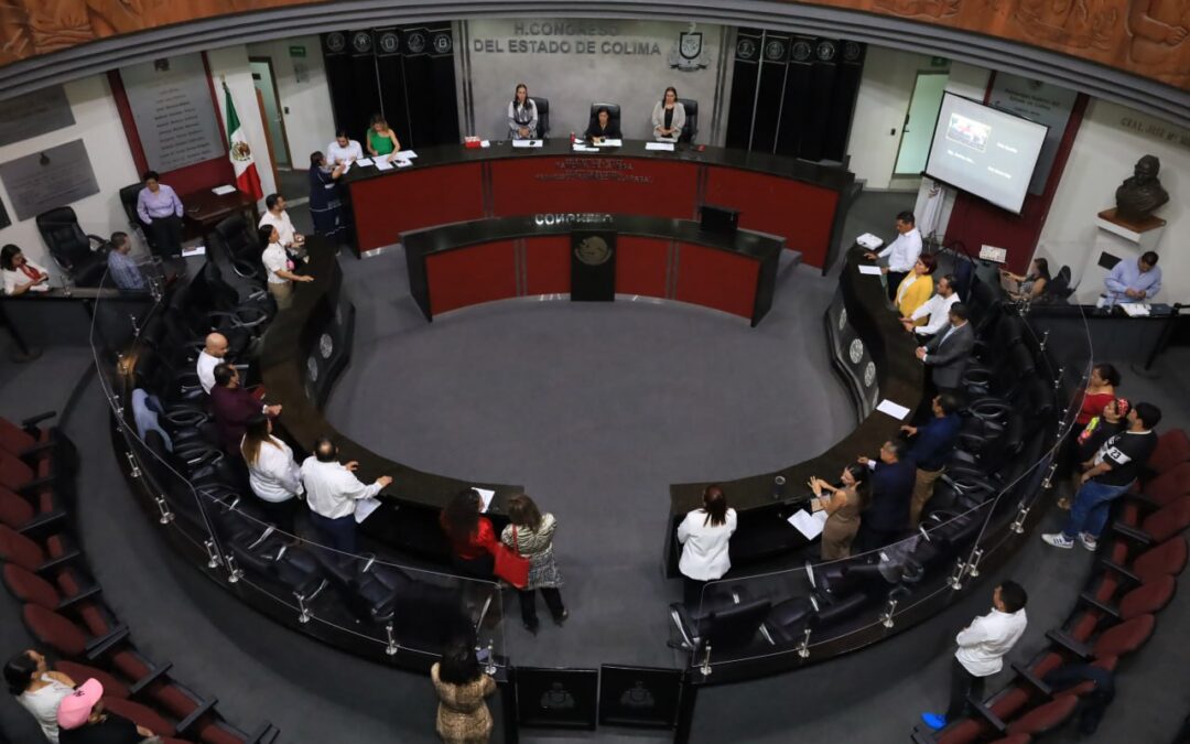 LX LEGISLATURA REFORMA LEY Y CÓDIGO PENAL PARA SANCIONAR LESIONES POR ATAQUES CON ÁCIDO