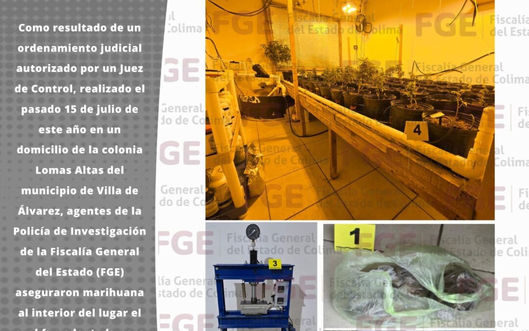 FGE ASEGURA MARIHUANA DURANTE CATEO