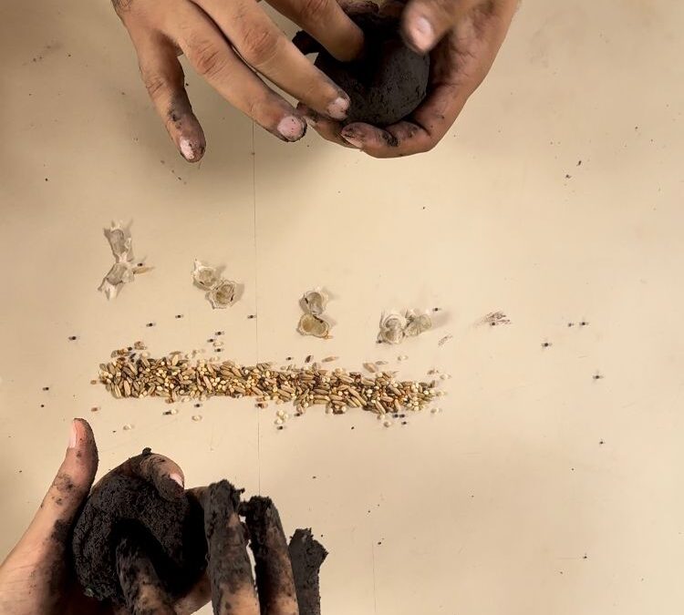 IMADES INVITA A PARTICIPAR EN LA CAMPAÑA ‘RENATURALIZANDO COLIMA CON BOMBAS DE SEMILLA’