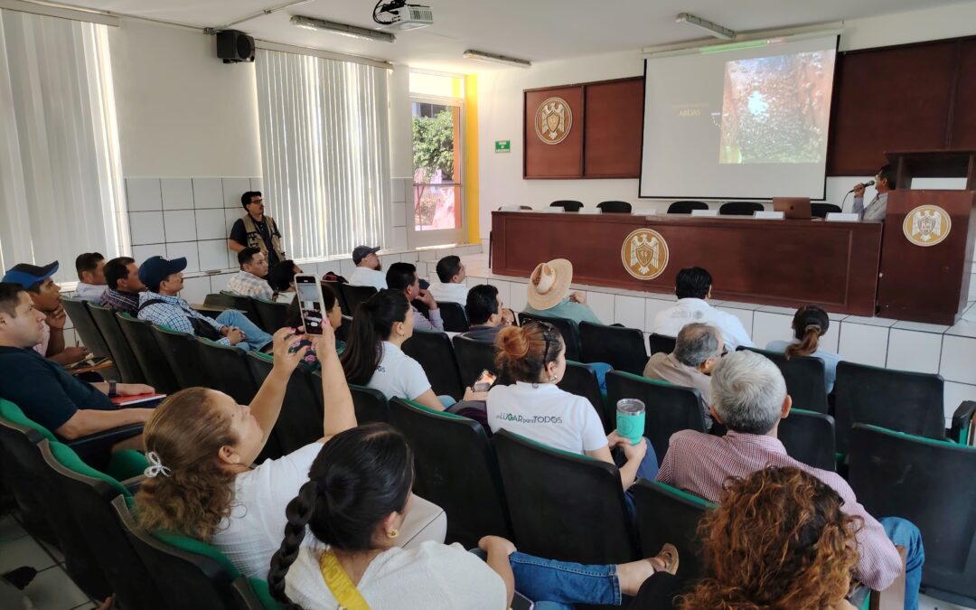 CONTRIBUYE UDEC DESDE LA ACADEMIA, A EVITAR LA MORTANDAD DE ABEJAS EN EL ESTADO