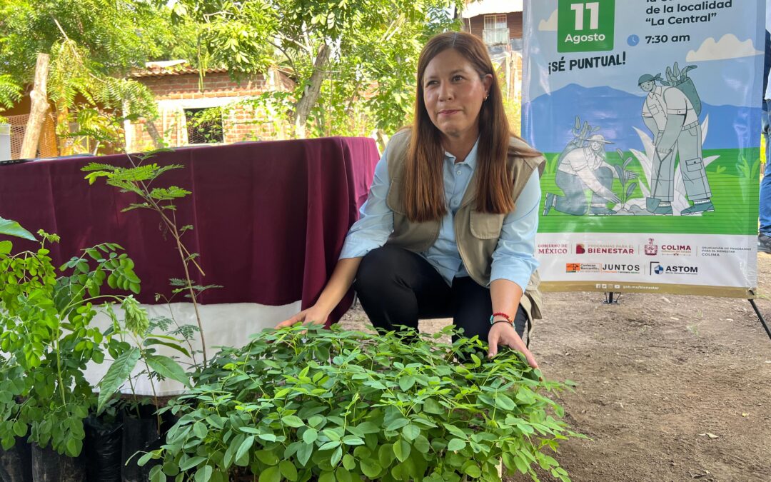 Invitan a reforestar el Cerro del Toro, el próximo domingo 11 de agosto