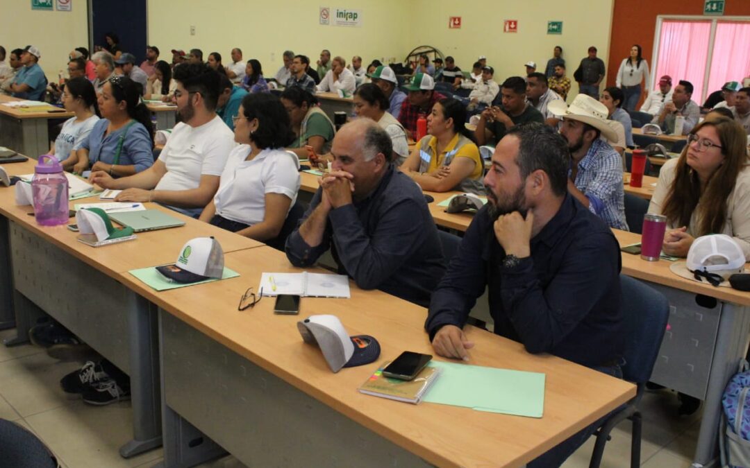 INICIÓ EN COLIMA EL CURSO ‘MANEJO INTEGRADO DEL LIMÓN MEXICANO CON HLB’