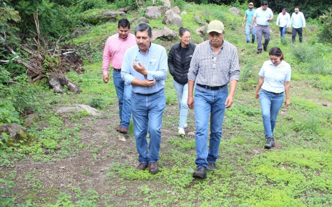 COMISIÓN NACIONAL DE ÁREAS NATURALES PROTEGIDAS SUPERVISA ZONA AGUACATERA AL NORTE DE COLIMA
