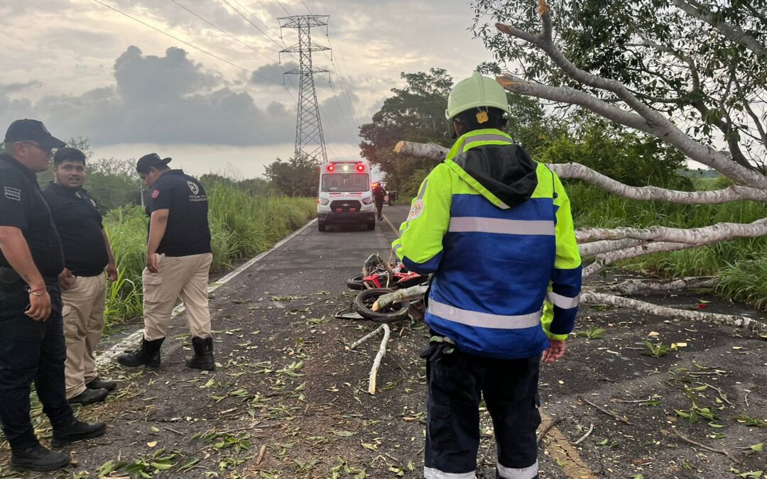MOTOCICLISTA PIERDE LA VIDA TRAS CAER UN ÁRBOL SOBRE EL LIBRAMIENTO LOS LIMONES