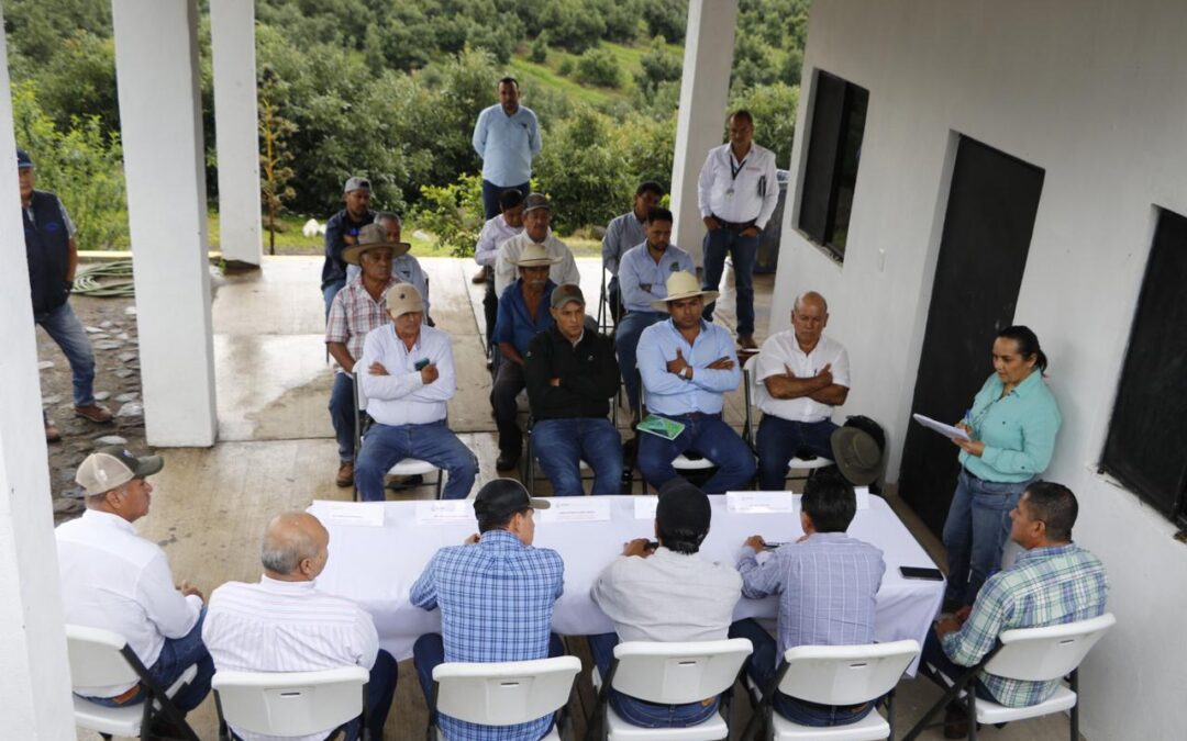 INICIÓ VERIFICACIÓN PARA RECONOCER AL GUARDIÁN DEL VOLCÁN COMO ZONA LIBRE DE PLAGAS