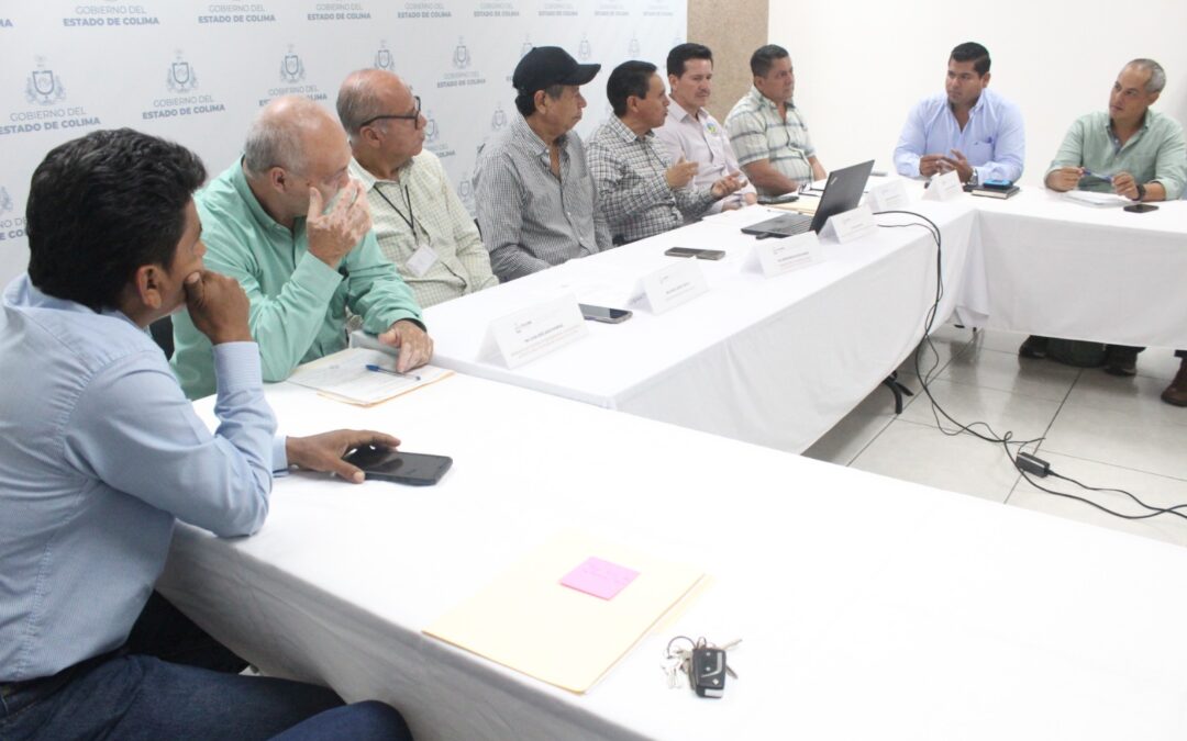 REGIÓN AGUACATERA ‘GUARDIÁN DEL VOLCÁN’ ES RECONOCIDA COMO ZONA LIBRE DE PLAGAS