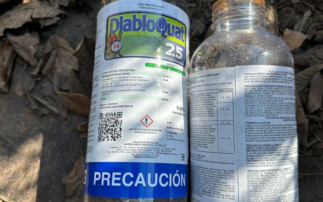 EN REDES DENUNCIAN A AYUNTAMIENTO DE COLIMA POR UTILIZAR VENENO EN CAMELLONES