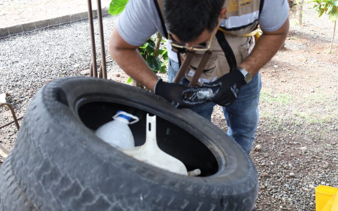 MANTIENE SALUD CONTROL LARVARIO CONTRA EL DENGUE