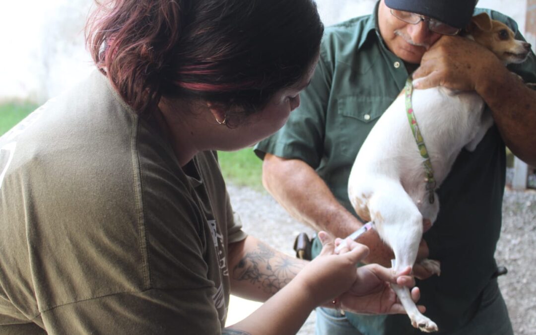 REALIZARÁ SALUD COLIMA JORNADA DE VACUNACIÓN ANTIRRÁBICA, DEL 22 AL 28 DE SEPTIEMBRE