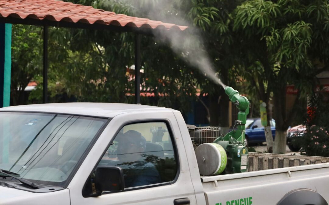 FUMIGARÁN EN LOS 3 MUNICIPIOS MÁS GRANDES Y MINATITLÁN, CONTRA EL DENGUE