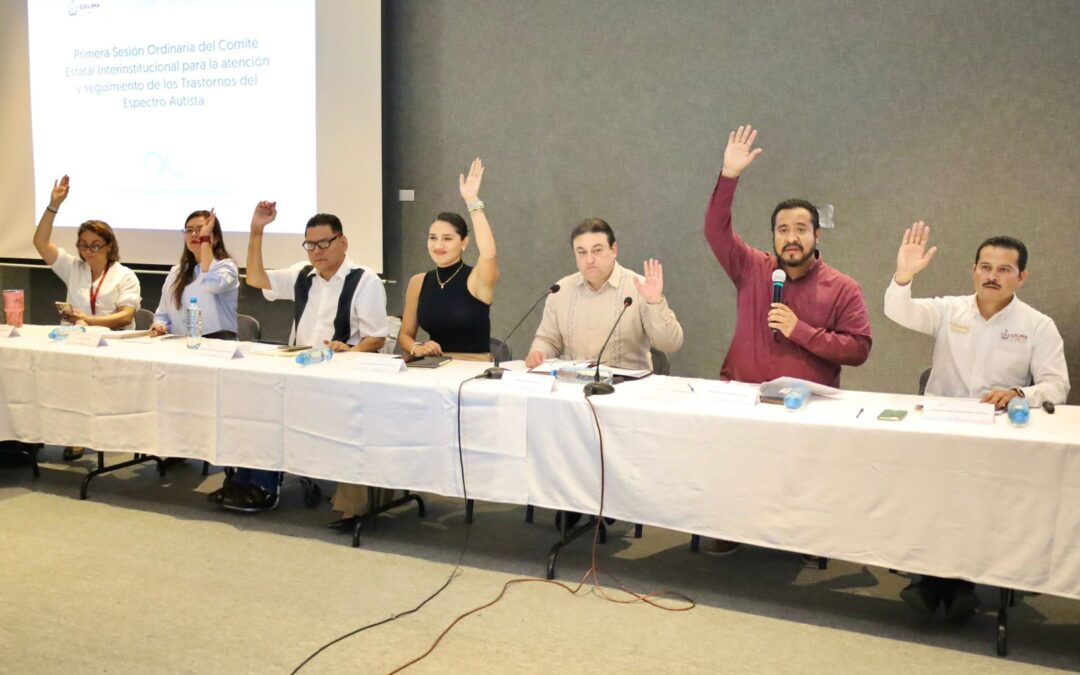INCORPORAN A IMSS BIENESTAR, INSTITUTO DE LAS MUJERES Y DIF MUNICIPALES AL COMITÉ DE AUTISMO