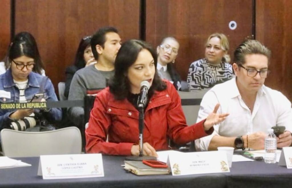 REFORMA A VIVIENDA DEBE ATENDER TAMBIÉN A TRABAJADORES INFORMALES: MELY ROMERO