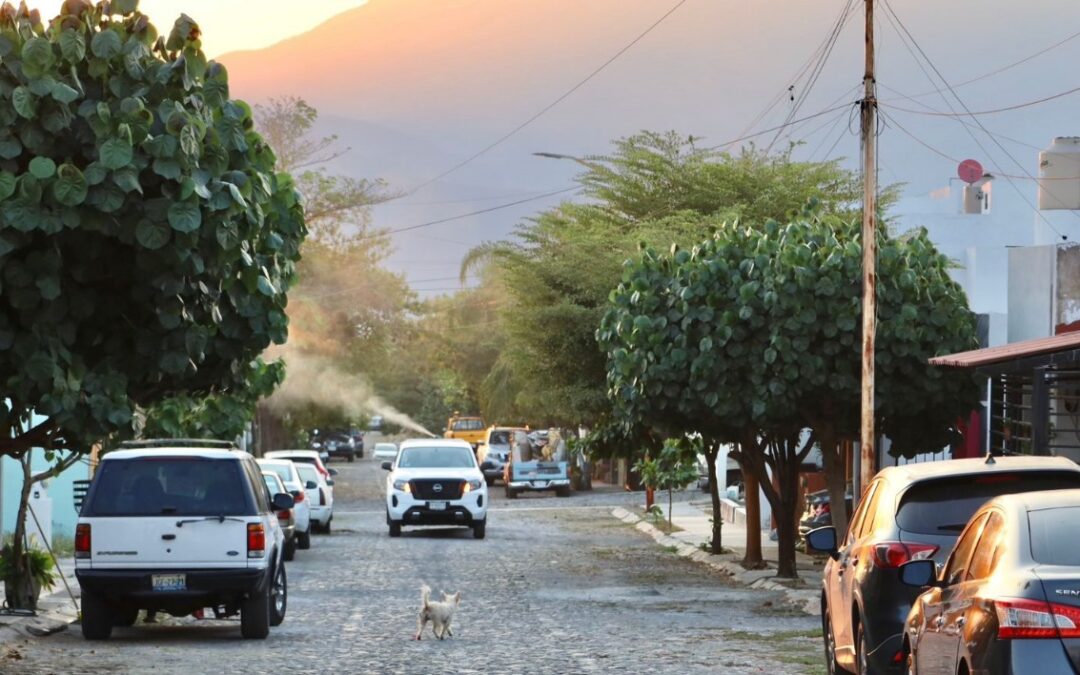 SALUD COLIMA MANTIENE LA FUMIGACIÓN CONTRA EL DENGUE EN EL ESTADO; ESTE VIERNES SERÁ EN TECOMÁN