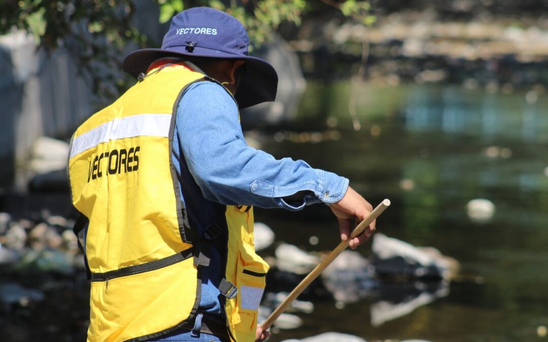 MANTIENE SALUD COLIMA VIGILANCIA DEL PALUDISMO; REALIZA LIMPIEZA DE RÍOS PARA ELIMINAR CRIADEROS DEL MOSCO TRANSMISOR