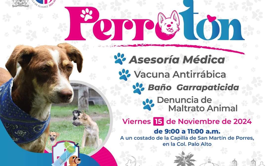 PERROTÓN ESTARÁ EN LA COLONIA PALO ALTO