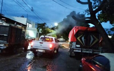 ESTE JUEVES, SECRETARÍA DE SALUD FUMIGA CONTRA EL DENGUE EN COLIMA, TECOMÁN Y MANZANILLO