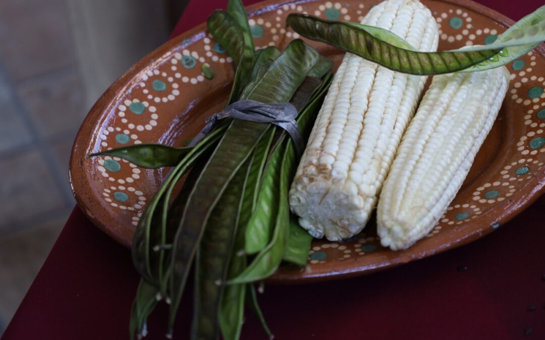 SALUD COLIMA HACE RECOMENDACIONES PARA PREVENIR CÁNCER DE PÁNCREAS