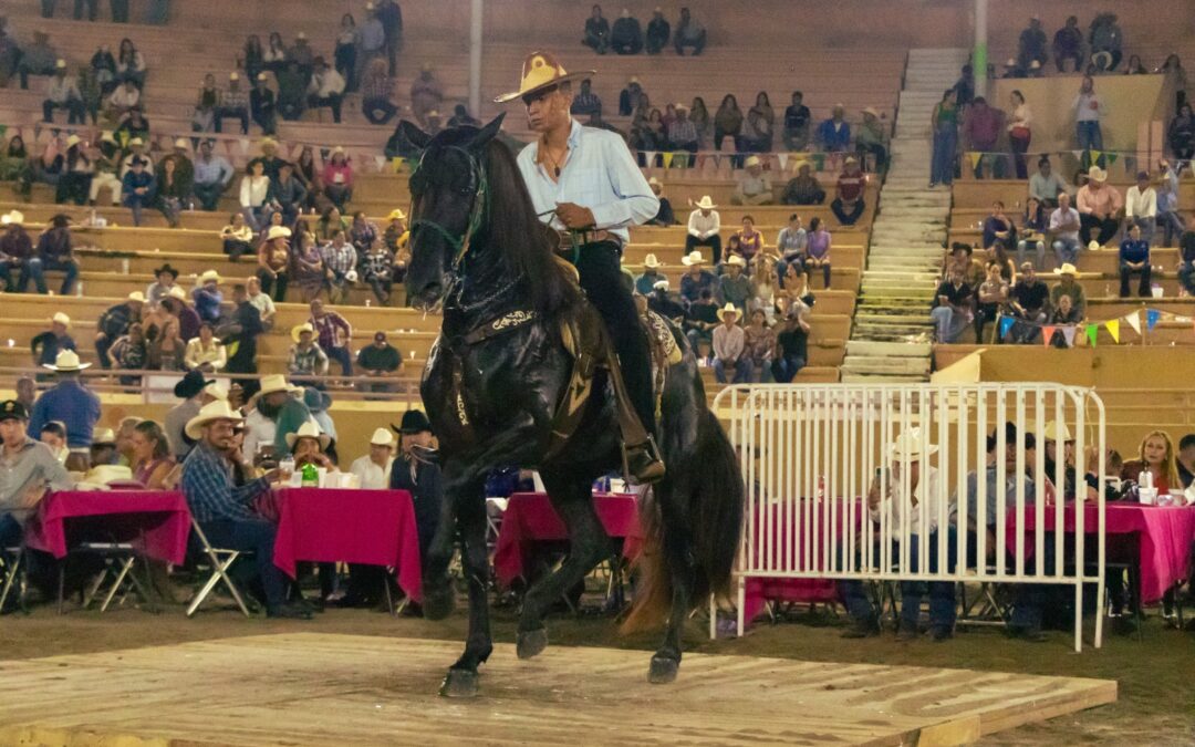 GANA DANIEL TORRES ‘CONCURSO DEL CABALLO BAILADOR»