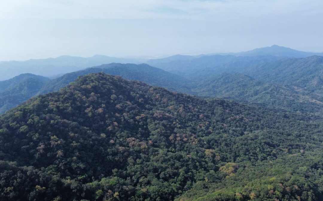 IMADES: COLIMA SE POSICIONA EN LA LUCHA CONTRA EL CAMBIO CLIMÁTICO, A TRAVÉS DE LA REFORMA A LA LEY DE HACIENDA